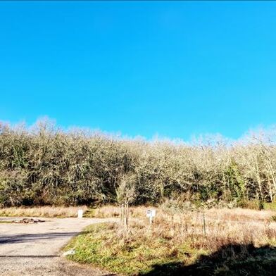 Terrain  49000 €