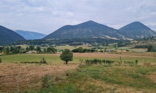 Photo N° 5