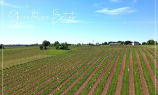 Photo N° 3