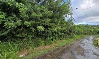 Terrain  1300 m² à vendre à Le Marin (97290)