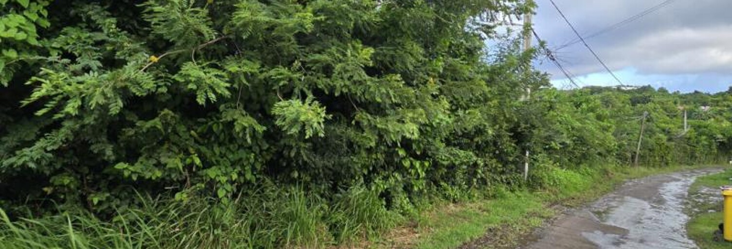 Terrain  1300 m² à vendre à Le Marin (97290)