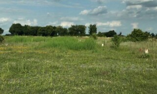 Photo N° 4