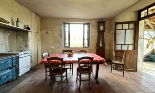 Photo N° 7
