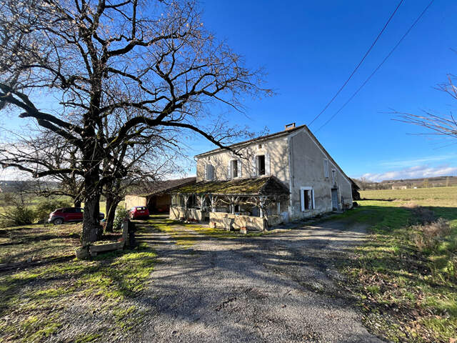 Maison en pierre et dépendances sur 5 hectares, secteur Monbahus — photo du bien