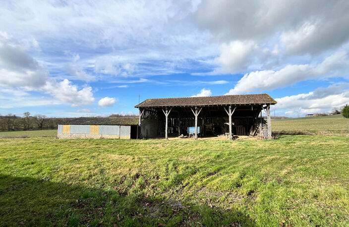 Maison en pierre et dépendances sur 5 hectares, secteur Monbahus — photo 4