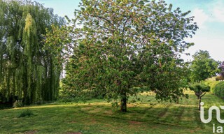 Photo N° 5