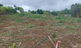 Terrain  380 m² à vendre à Saint-Paul (97423)