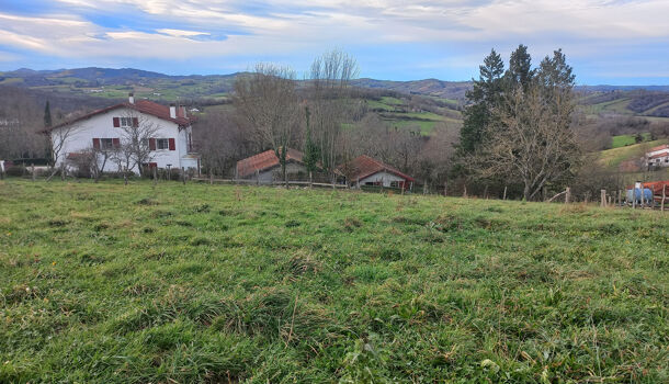 Terrain  à vendre Saint-Palais 64120