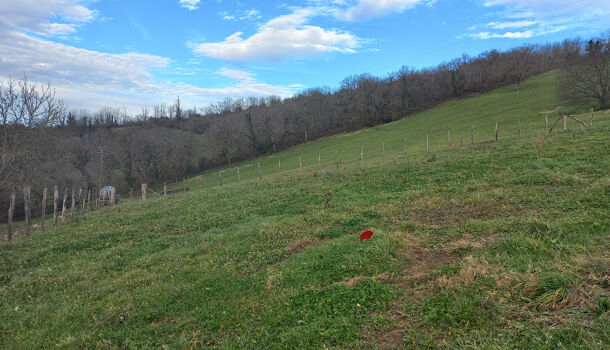 Terrain  à vendre Saint-Palais 64120