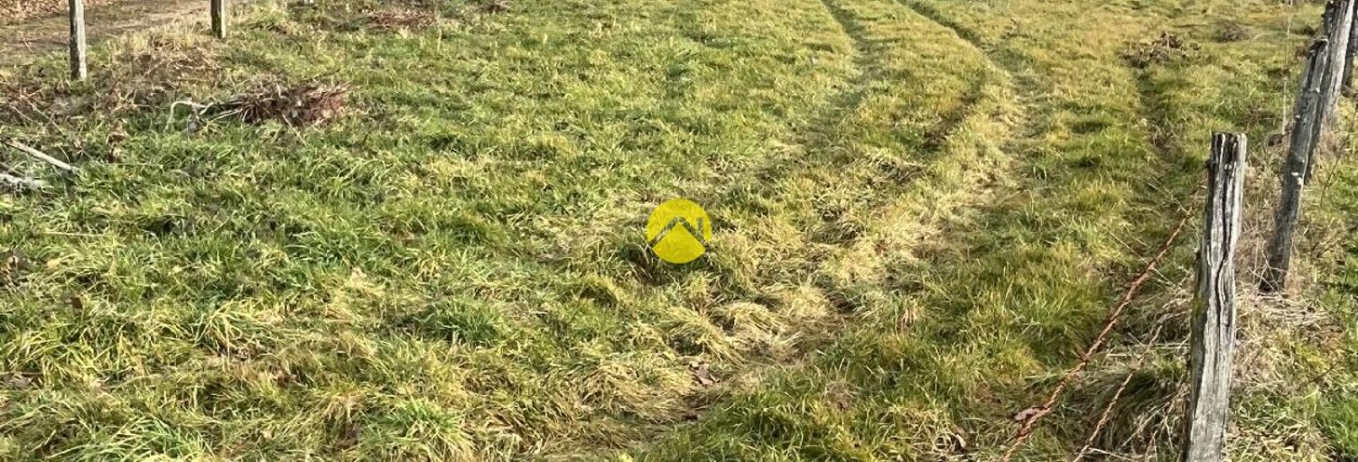 Maison 1 Pièce  m² à vendre à Puy-Guillaume (63290)