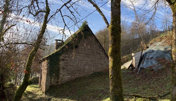 Terrain  à vendre Conques-en-Rouergue 12320