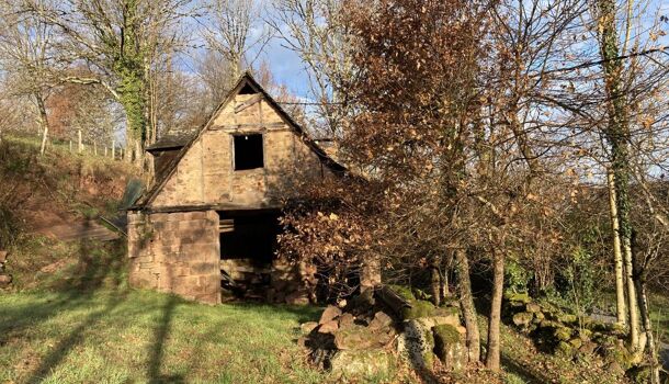 Terrain  à vendre Conques-en-Rouergue 12320
