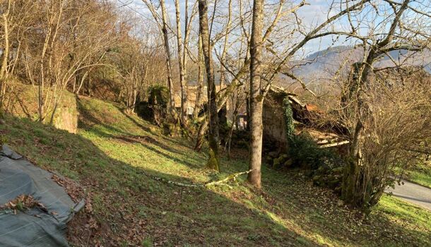 Terrain  à vendre Conques-en-Rouergue 12320