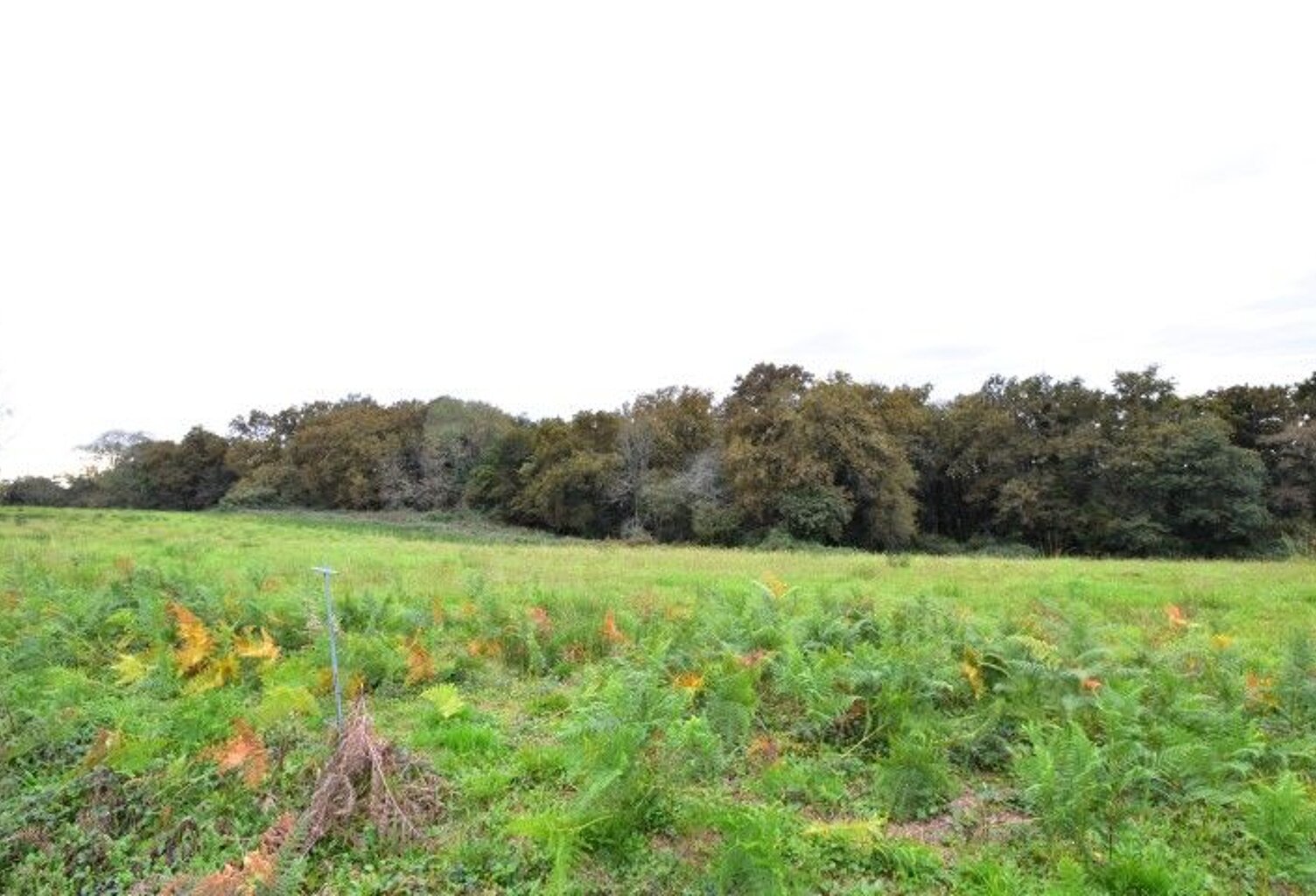 Terrain 4440 m2 — photo 1