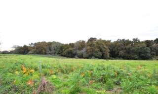 Terrain  4440 m² à vendre à Momuy (40700)