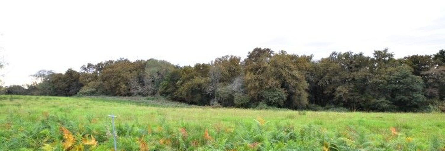 Terrain  4440 m² à vendre à Momuy (40700)