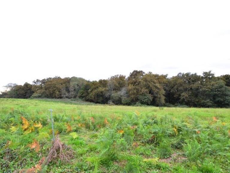 Terrain 4440 m2 — photo 1