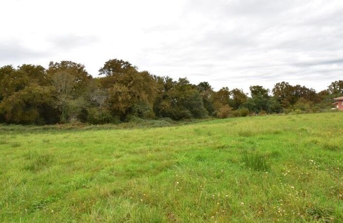 Terrain 4440 m2 — photo 2
