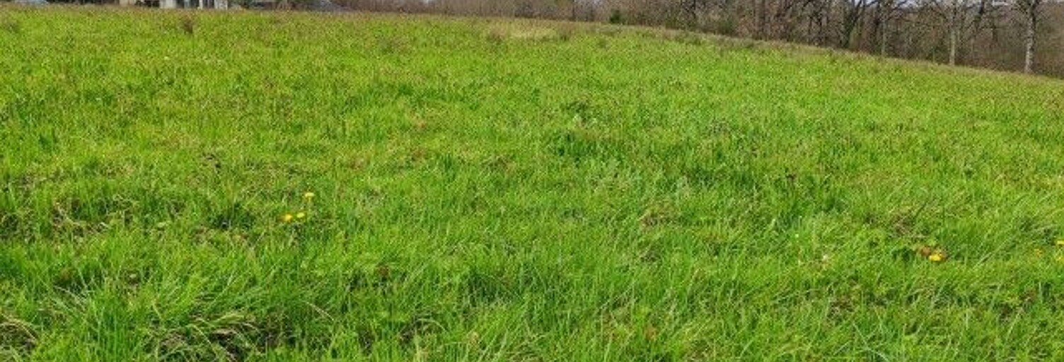 Terrain  2306 m² à vendre à Horsarrieu (40700)