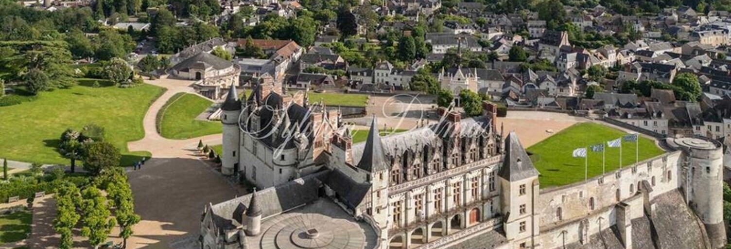 Maison 20 Pièces 650 m² à vendre à Amboise (37400)