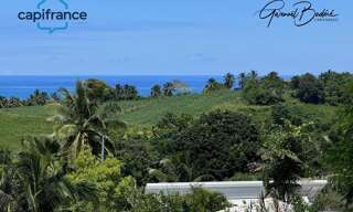 Terrain  23960 m² à vendre à Sainte-Rose (97115)