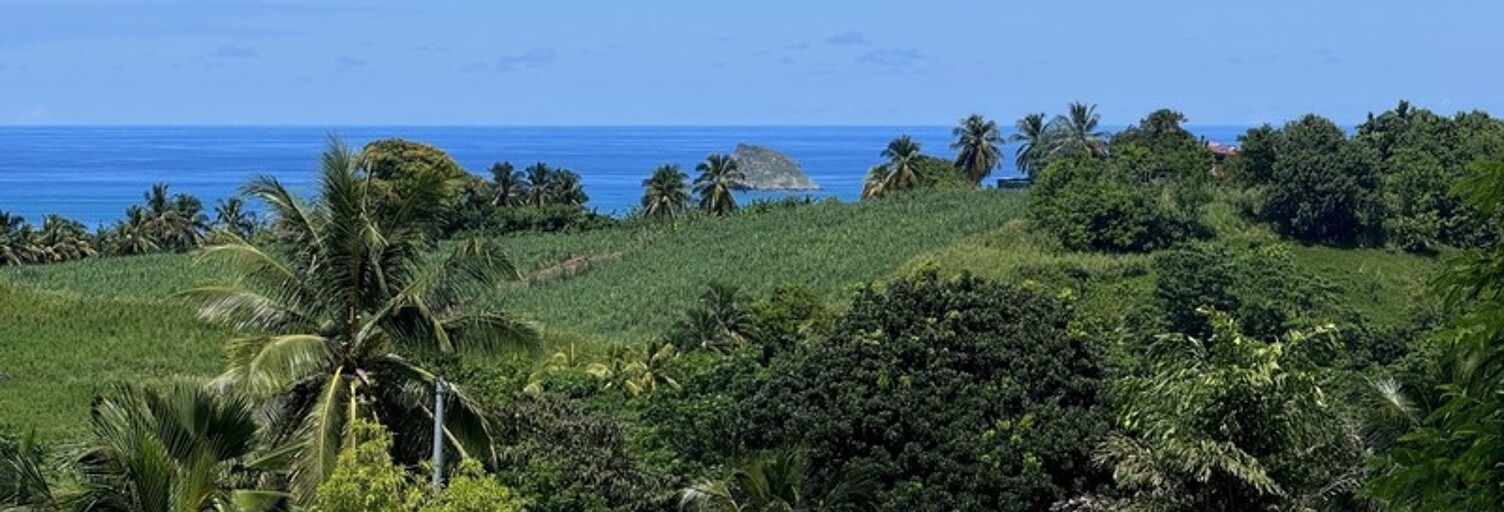 Terrain  23960 m² à vendre à Sainte-Rose (97115)