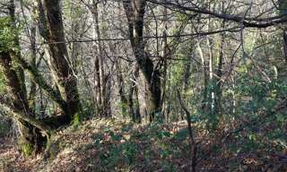 Terrain  6393 m² à vendre à Saint-Étienne-Vallée-Française (48330)