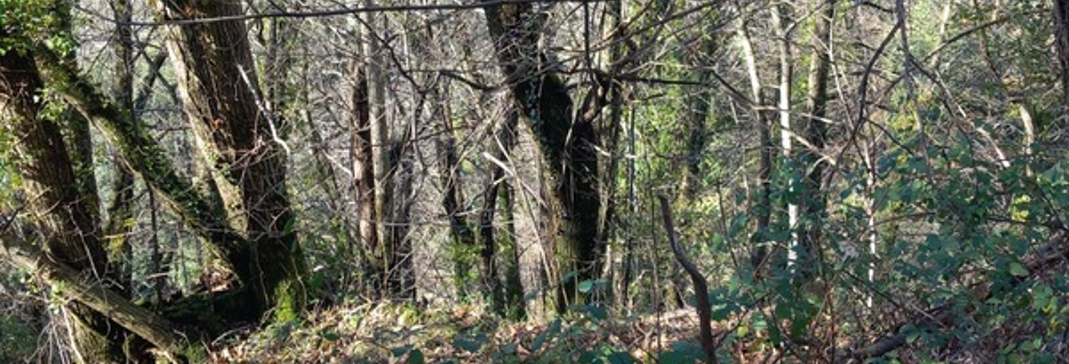 Terrain  6393 m² à vendre à Saint-Étienne-Vallée-Française (48330)