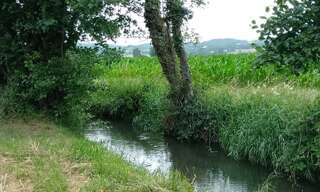 Terrain  1920 m² à vendre à Mondavezan (31220)