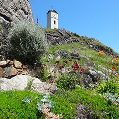 Terrain  29000 €