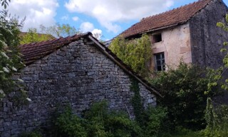 Photo N° 3