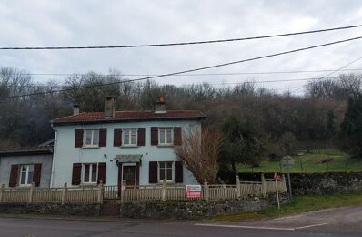 vente maison 40 000 € à proximité de Fontenois-la-Ville (70210)