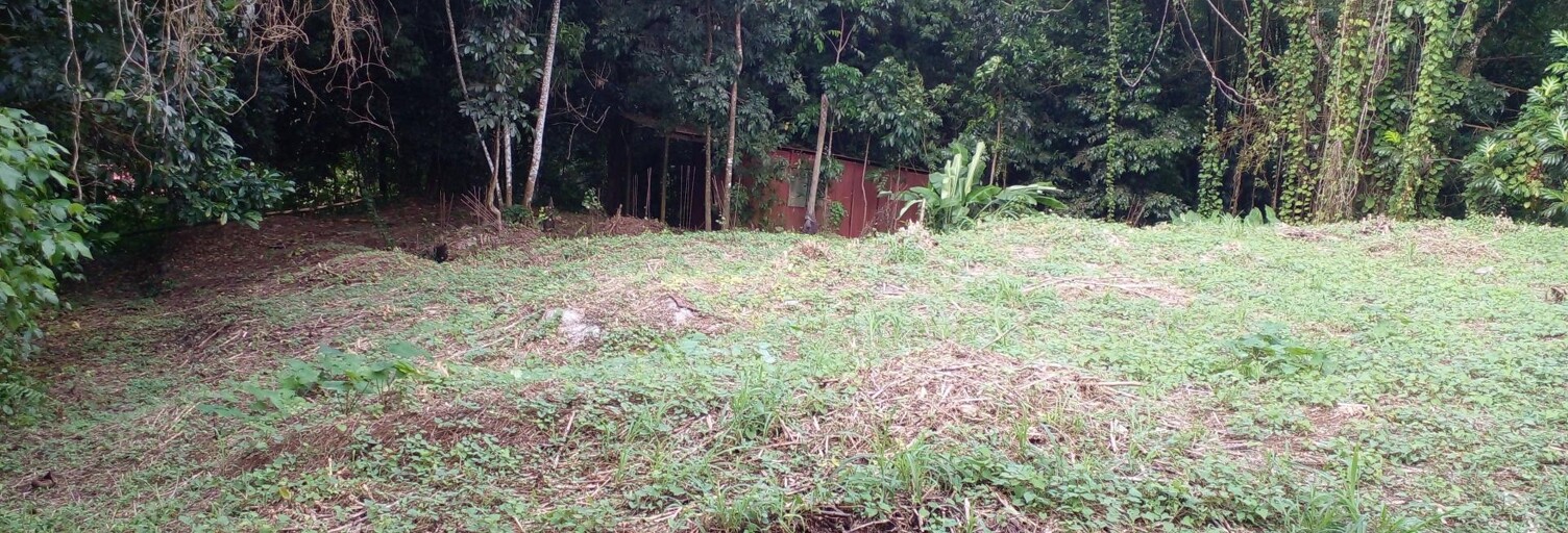 Terrain  1577 m² à vendre à Gros-Morne (97213)