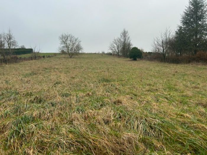 Terrain  à vendre Dormans 51700