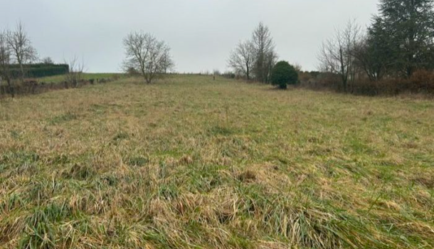 Terrain  à vendre Dormans 51700