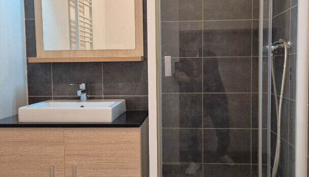 Appartement 2 pièces  à vendre Grenoble 38000