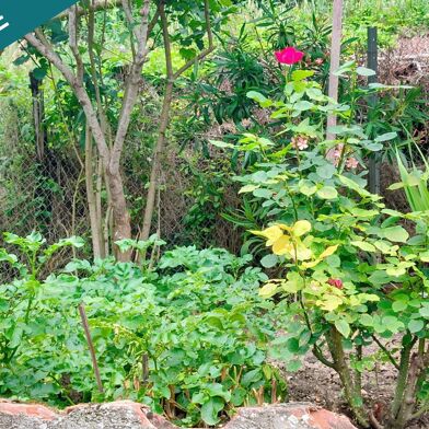 Maison 5 pièces 149000 €