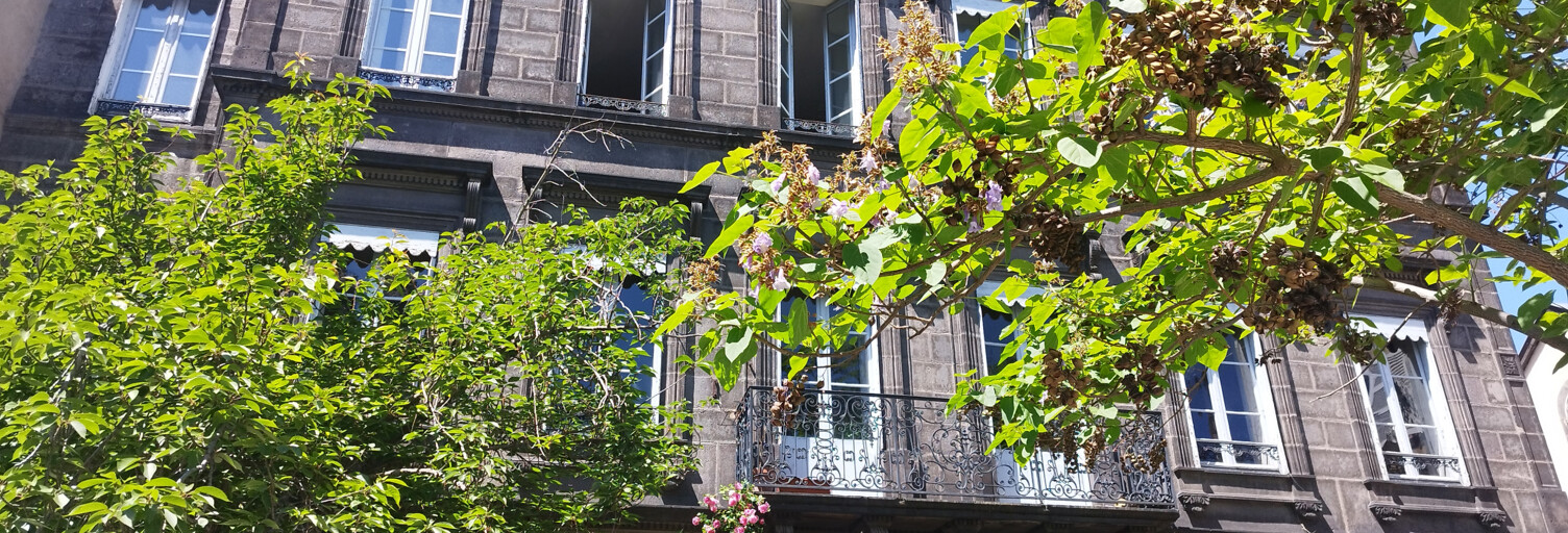 Commerce  60 m² à louer à Clermont-Ferrand (63000)