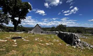 Terrain  80524 m² à vendre à Saint-Chels (46160)