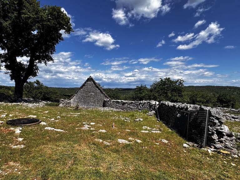 Terrain — photo 1