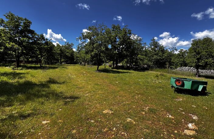 Terrain — photo 3