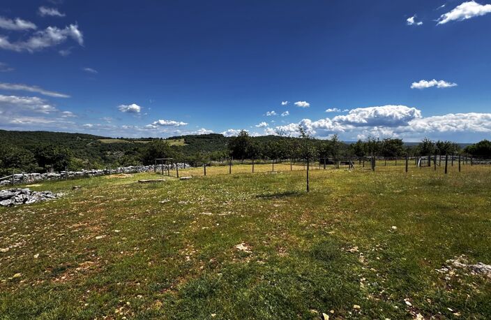 Terrain — photo 4