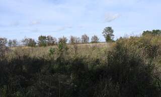 Commerce  8360 m² à vendre à Sainte-Catherine-de-Fierbois (37800)