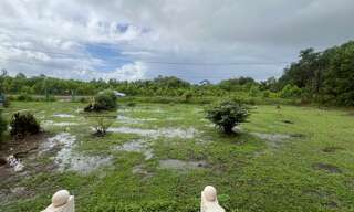 Maison 8 Pièces 199 m² à vendre à Montsinéry-Tonnegrande (97356)