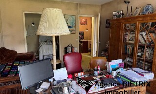Photo N° 6