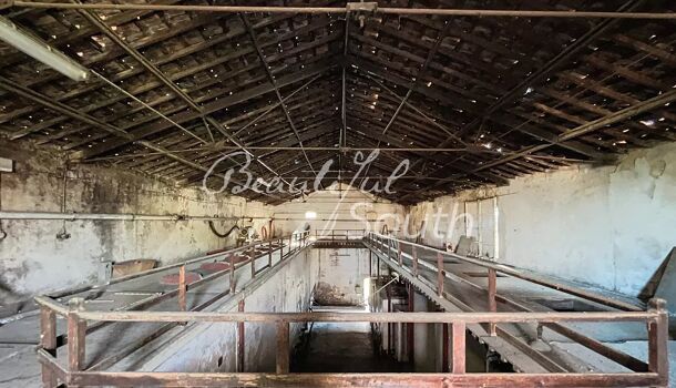 Propri&eacute;t&eacute;  à vendre Bages 66670