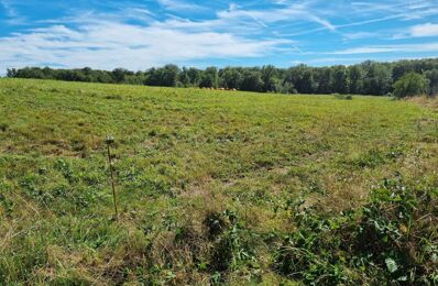 terrain  pièces 1200 m2 à vendre à Oppenans (70110)