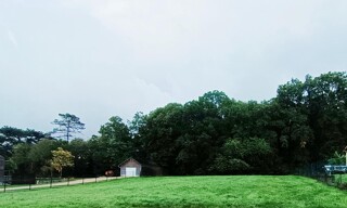 Photo N° 2