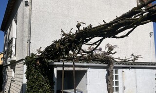 Photo N° 2
