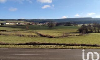 Photo N° 4